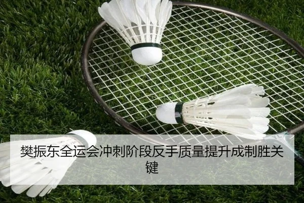 樊振东全运会冲刺阶段反手质量提升成制胜关键 | QYSports