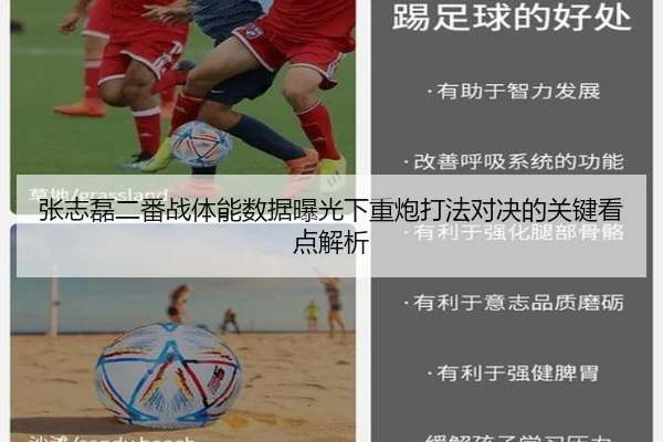 张志磊二番战体能数据曝光下重炮打法对决的关键看点解析 | QYSports