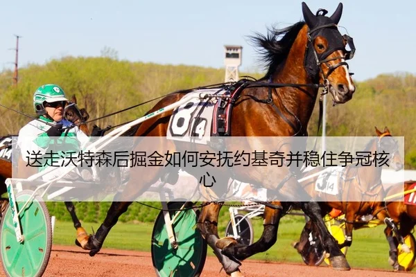 送走沃特森后掘金如何安抚约基奇并稳住争冠核心 | QYSports